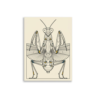 Affiche entomologie décorative moderne – Mante Royale